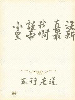 小说我真没想当皇帝啊最新章节封面