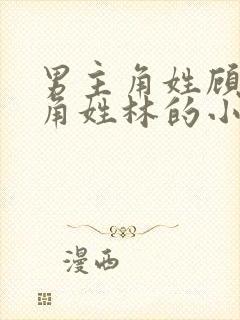 男主角姓顾女主角姓林的小说封面