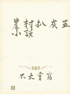 农村扒灰五十篇小说封面