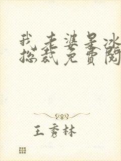 我老婆是冰山女总裁免费阅读全文封面