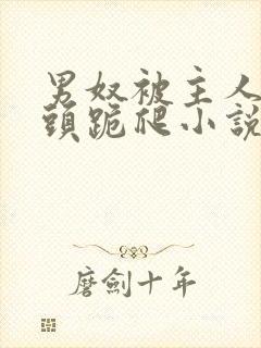 男奴被主人拽奶头跪爬小说