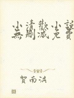 小清欢小说全文无删减免费阅读封面