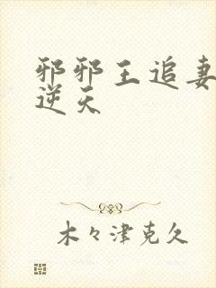 邪邪王追妻废材逆天