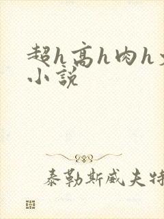 超h高h肉h文小说