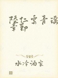 陆仁云青瑶全部章节