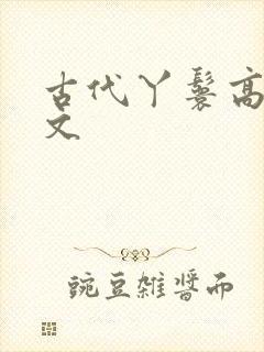 古代丫鬟高辣h文