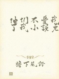 他们不爱我却生了我小说免费阅读