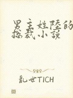 男主姓陆的霸道总裁小说