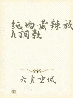 纯肉黄辣放荡高h调教