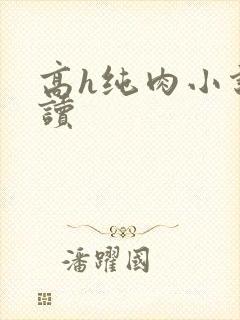 高h纯肉小说阅读