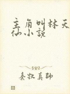 主角叫林天的修仙小说