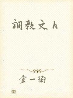 调教文 h