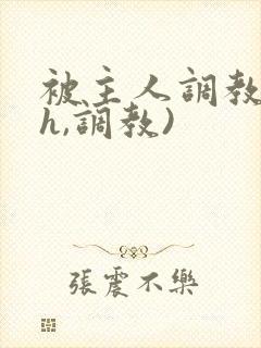 被主人调教(高h,调教)