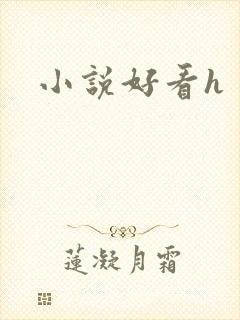小说好看h封面