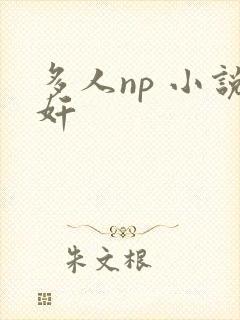 多人np 小说奸封面