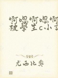 啊嗯啊嗯啊骚货被学生c小说封面