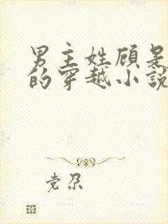 男主姓顾是世子的穿越小说