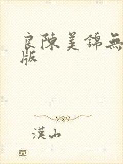 良陈美锦无删减版封面