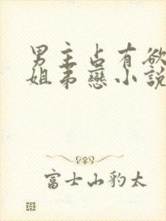 男主占有欲强的姐弟恋小说