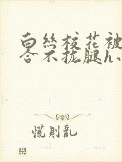 白丝校花被c得合不拢腿h小说