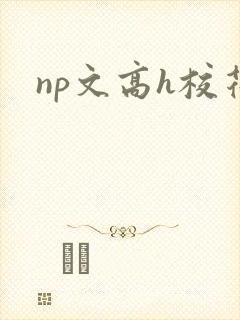 np文高h校花