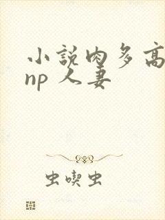 小说肉多高h np 人妻