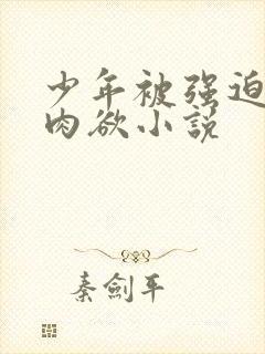 少年被强迫侵犯肉欲小说