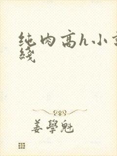 纯肉高h小说在线