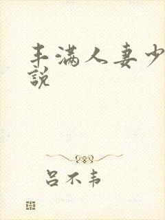 丰满人妻少妇小说