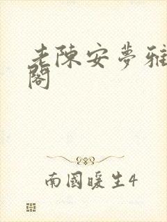 老陈安梦雅笔趣阁