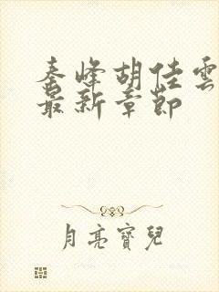 秦峰胡佳云小说最新章节