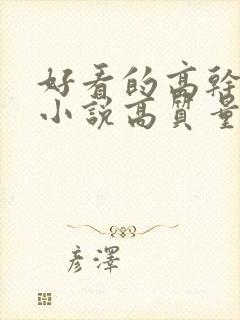 好看的高干言情小说高质量文笔好