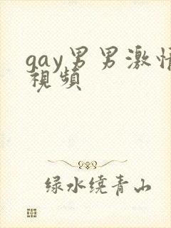 gay男男激情视频