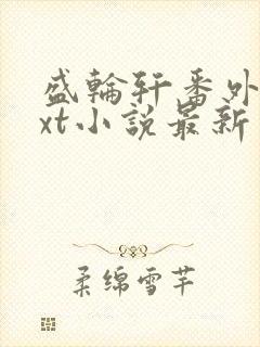 盛轮轩番外篇txt小说最新章节
