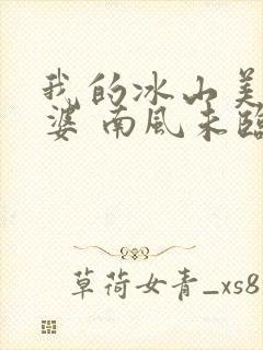 我的冰山美女老婆 南风未临封面