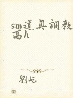 sm道具调教文高h