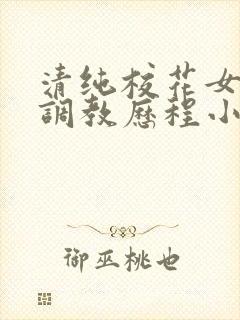 清纯校花女友的调教历程小说