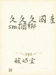 久久久国产调教sm捆绑