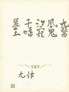 慕千汐凰九夜邪王嗜宠鬼医狂妃免费阅读