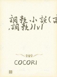 调教小说(高h,调教)1v1