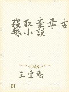 强取豪夺古言穿越小说封面