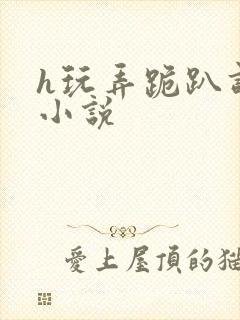 h玩弄跪趴调教小说