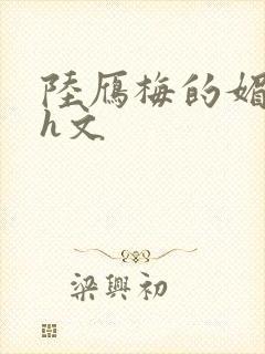 陆雁梅的媚肉高h文