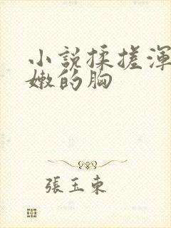 小说揉搓浑圆白嫩的胸