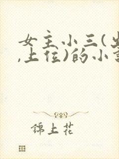 女主小三(出轨,上位)的小说