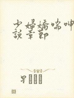 少妇娇喘呻吟小说章节