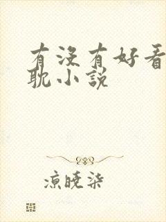 有没有好看的原耽小说