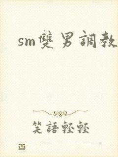 sm双男调教文