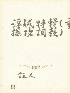 淫贼特辑(重口总攻调教)