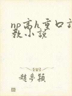np高h重口调教小说